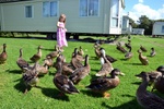 duck_feeding_time.jpg